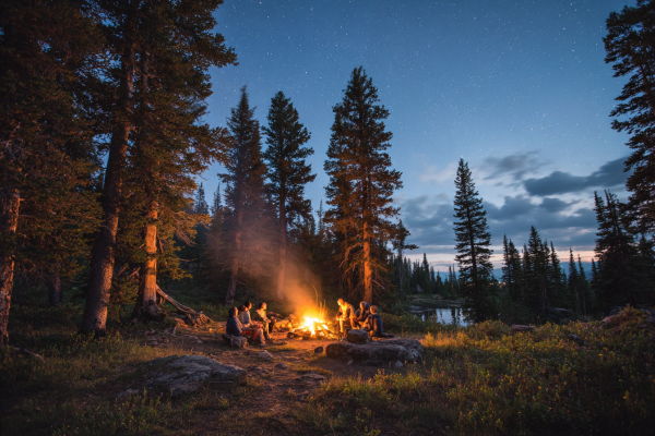 Друзі біля багаття в лісі